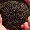 Vermicompost – Vikash Kumar