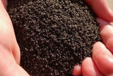 Vermicompost – Vikash Kumar