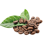 Coffee and Tea
