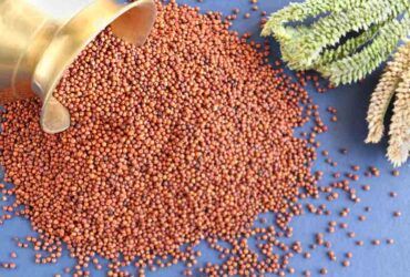 Ragi for sale@ 15 Rs per kg